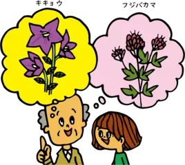 タンポポが絶滅危惧種になる？