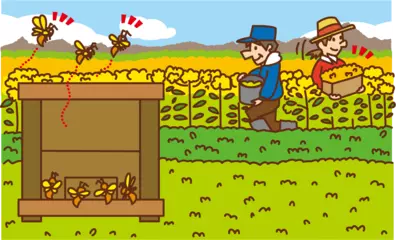 ミツバチがいなくなると人間もいなくなる！？