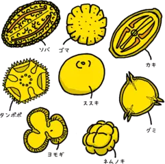 まるで金平糖 いろいろな花粉