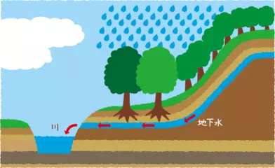 晴れの日が続いても川の水がなくならないのはなぜ？