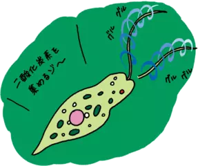 泳ぐ植物がいるってほんとう？