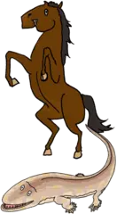 人の手は進化していない？