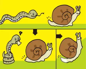 かたつむりはしっぽを切って逃げる？