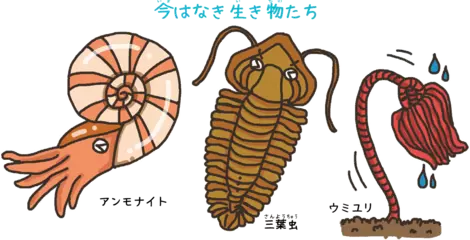 生物の90％以上が絶滅したことがあった！