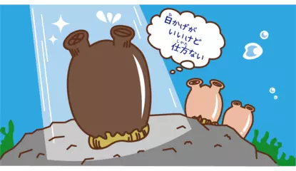 動けない動物は光からどうやって身を守る？