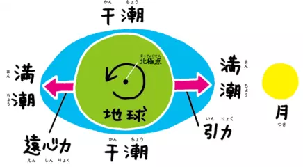 潮の満ち引きはなぜ起こる？