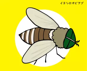 夏の川にあらわれるしつこい吸血昆虫とは？