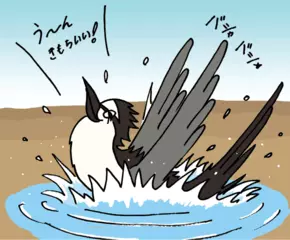 暑い季節、動物たちも汗をかく？