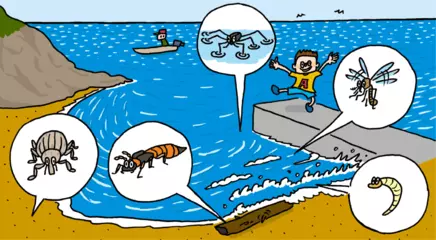 海辺にすむのは大変だ