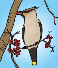 動物と果実がおりなす深い関係