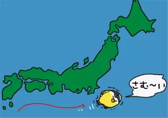 死滅回遊魚は進化のチャンス？