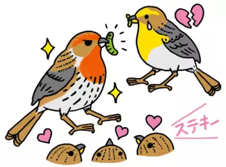 赤い羽毛はよいオスのあかし