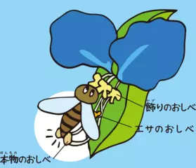 ツユクサの花のイタズラな工夫