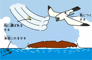 新しくできた島にどうやって植物がやってくる？