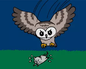 闇夜のハンターフクロウのすごいひみつ