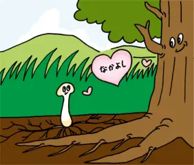 キノコと木のはなれられない関係