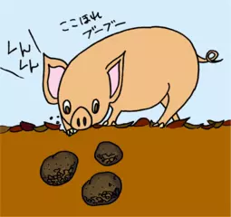 キノコの地下にもぐるという作戦