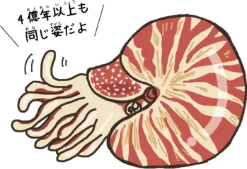 「生きた化石」ってなに？