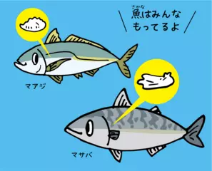 魚の耳にある石のお話