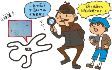 珪藻は見た！ 小さな藻が犯人を追いつめる