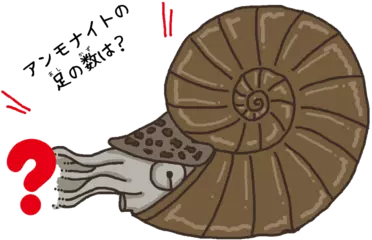 大昔の生き物アンモナイトのお話