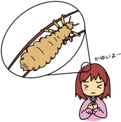 人の頭にすんでどんどんふえるシラミ