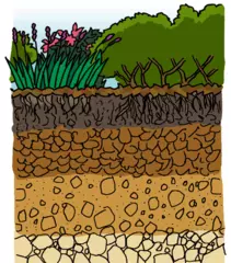 土の色いろいろ