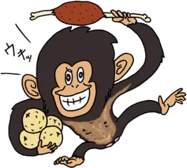 チンパンジーは肉を食べる？