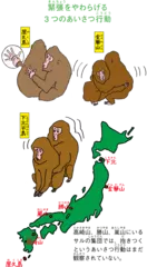 ニホンザルがするあいさつってどんなの？