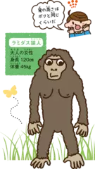 大昔の人類は大人でも身長が120㎝だった！