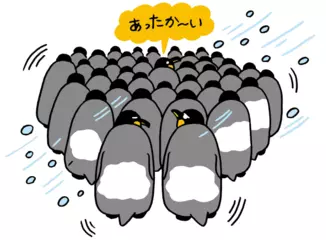 南極のペンギンはおしくらまんじゅうが好き