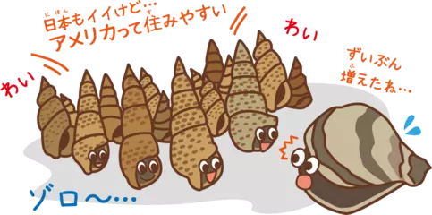 日本の貝がアメリカで大発生！？
