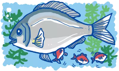 卵ではなく子どもを産む魚がいる