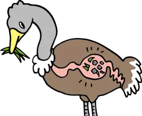 歯のない鳥たちは食べ物をどこで噛み砕くの？