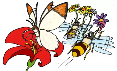 チョウとハチには色が違って見えている！？