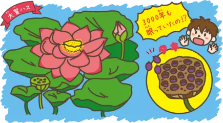 3000年の眠りの後に咲いた花