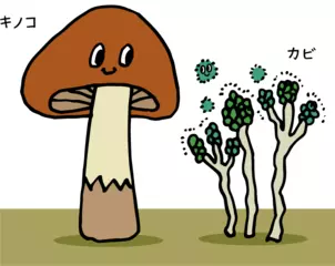 キノコは何種類あるかわかっていない！