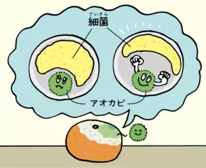 地上で最も強力？ 微生物の毒