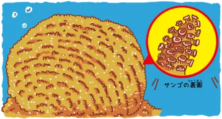 大昔の一年は365日ではなかった！