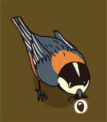 エサを食べ忘れた鳥が森を広げる