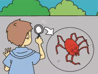 コンクリートにいる、小さな赤い虫の正体は？