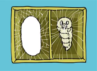 カイコは自然で生きられない？