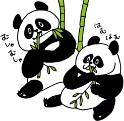 動物によって味の感じ方がちがう