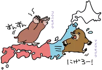 地下を制するのは誰か？ モグラたちの国とり物語