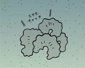 深海には巨大な単細胞生物がいる