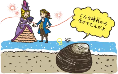 もっとも長生きする動物は貝だった？