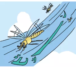 まるでマラソン選手のようなカ