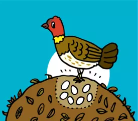 卵を抱いてあたためない鳥がいるってほんとう？