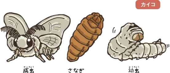 食べるとおいしいガのお話