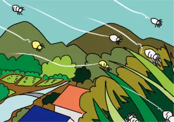 クモも空を飛べる！